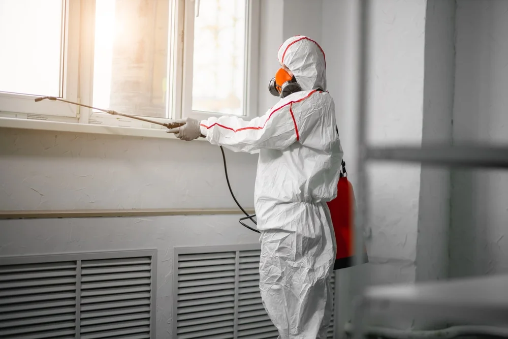 Professional mold remediation services in Fairfield, TX